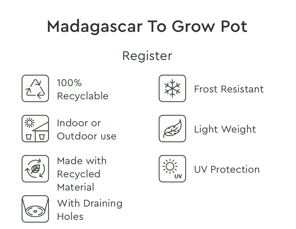 Artevasi Madagascar kweekpot 30 buiten bloempot  Ø 30 x h28,5 cm dry green