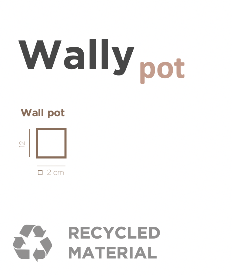 Wally pot 12x12x12 white colour made by NewGarden