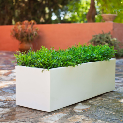images/productimages/small/2-d08f9343-e43a-4cea-b8ce-eada3d1bd3f6-2x.png