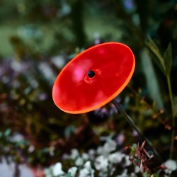 Cazador-del-sol - Het origineel | mini zonnevangers rood | diameter 8 cm | hoogte 25 cm