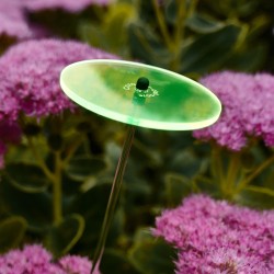 Cazador-del-sol - Het origineel | mini zonnevangers groen | diameter 8 cm | hoogte 25 cm