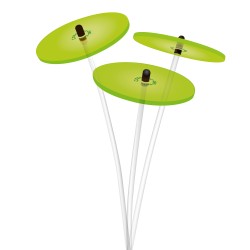 Cazador-del-sol - Het origineel | boeket van 3 zonnevangers groen | diameter 8 cm | hoogte 25 cm