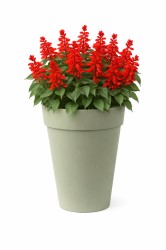 Buitenbloempot Euro3Plast Liken Ø27xH36cm rosemary