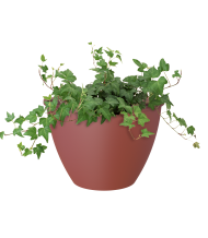 Muur bloembak Algarve Wall Pot 30x16,5x23,5 cm donker rood