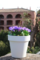 Newgarden Magnolia Kunststof Ø30 cm Hoogte 29 cm wit Buiten Bloempot