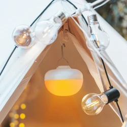 Cherry warm wit licht (1800K) Nature  lamp draadloos / oplaadbaar met afstandsbediening made by NewGarden