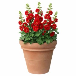 Buitenbloempot Euro3Plast Doppio Bordo Ø51-H44cm terra kunststof