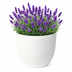 Buiten Bloempot rond 44xh36 cm Etria wit Made by Euro3Plast