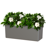 Artevasi Balkon bloembak Rimini  51x20xH20 antraciet kompleet met irrigation kit