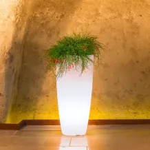 Monacis verlichte bloempot Ø33xH70 cm Flowerpot Bright Wit licht
