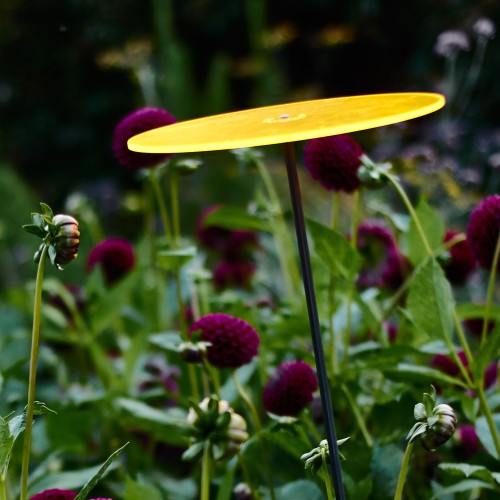 Cazador-del-sol - Het origineel | zonnevanger geel | diameter 20 cm | hoogte 175 cm
