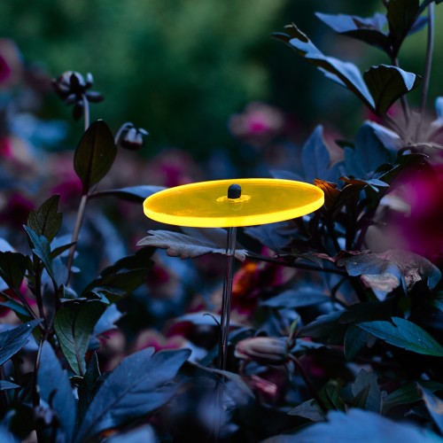 Cazador-del-sol - Het origineel | mini zonnevangers geel | diameter 8 cm | hoogte 25 cm