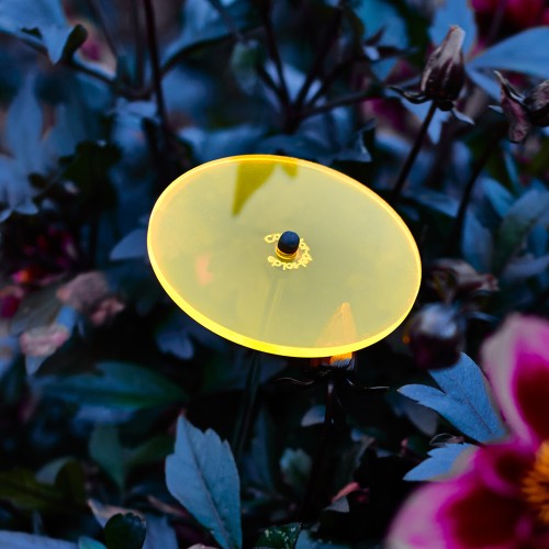 Cazador-del-sol - Het origineel | mini zonnevangers geel | diameter 8 cm | hoogte 25 cm