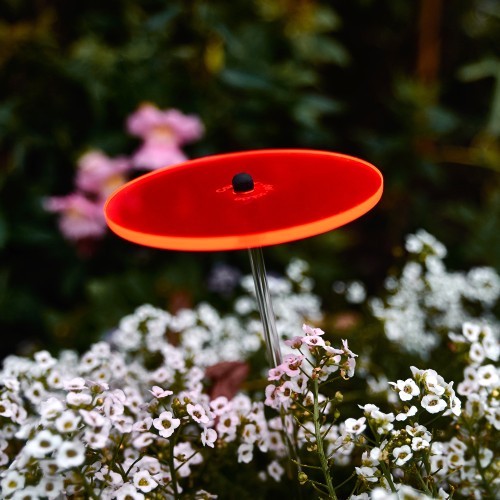 Cazador-del-sol - Het origineel | mini zonnevangers rood | diameter 8 cm | hoogte 25 cm