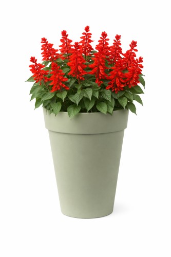 Buitenbloempot Euro3Plast Liken Ø27xH36cm rosemary