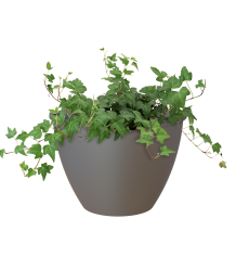 Muur bloembak Algarve Wall Pot 30x16,5x23,5 cm antraciet