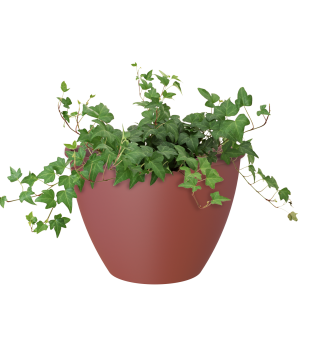 Muur bloembak Algarve Wall Pot 30x16,5x23,5 cm donker rood