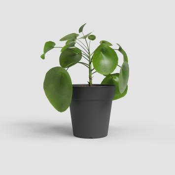 Artevasi Madagascar  35 buiten bloempot  Ø 35 x h33,5 cm antraciet