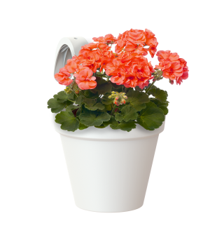 Artevasi Capri Balcony Single hangbloempot 20 cm wit