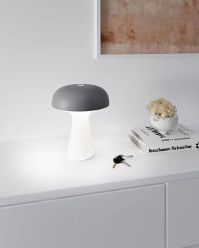 Sompex My LED tafellamp | oplaadbaar (accu) | Dimbaar | antraciet | waterdicht IP65