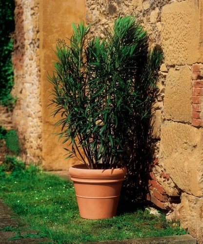 Buitenbloempot Euro3Plast Doppio Bordo Ø51-H44cm terra kunststof