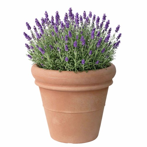 Buitenbloempot Euro3Plast Doppio Bordo Ø60-H51cm terra kunststof