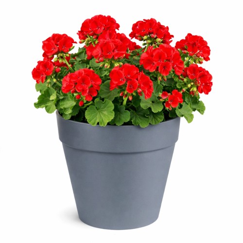 Buiten Bloempot Essence Rio rond 39xh35,3 cm pebble grey