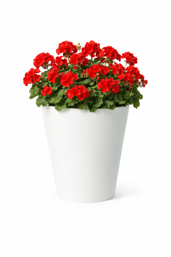 Buiten Bloempot rond 50xh50 cm Kuno wit Made by Euro3Plast