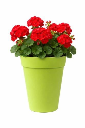 Buitenbloempot Euro3Plast Liken Ø34xH46cm lime groen