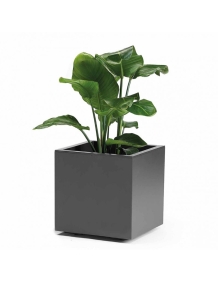 Buitenbloempot Euro3Plast Kebe Greener Kubus  40x40x40cm antraciet